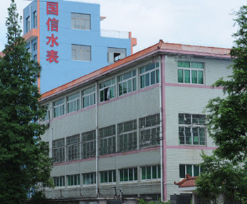 知(zhī)名甯波(bo)水表廠(chang)家