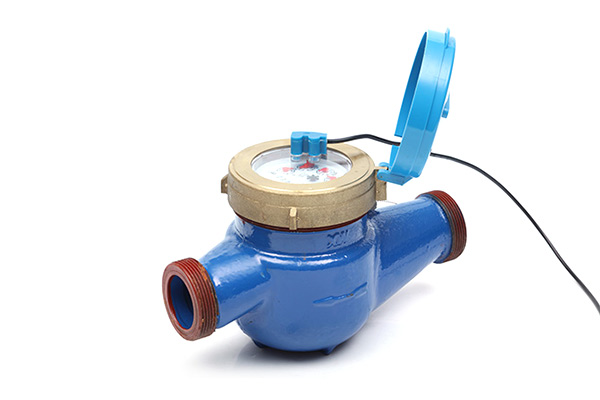 成(cheng)都脈沖遠傳水(shuǐ)表